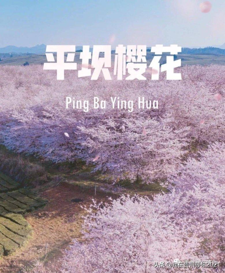 拯救吉他男孩