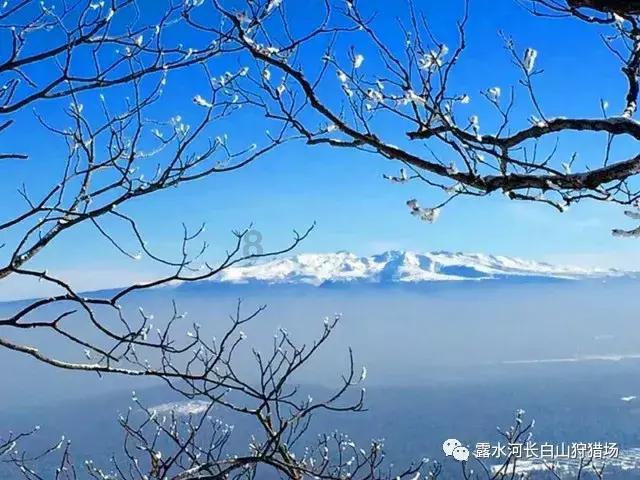 TFboys陪你做暑假作业