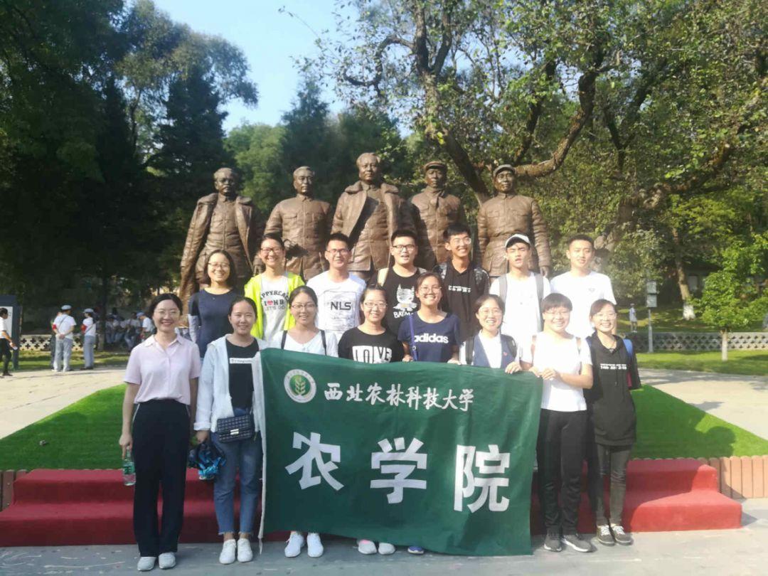 视频裁剪教程在哪里?