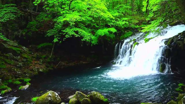 香蜜沉沉烬如霜装扮