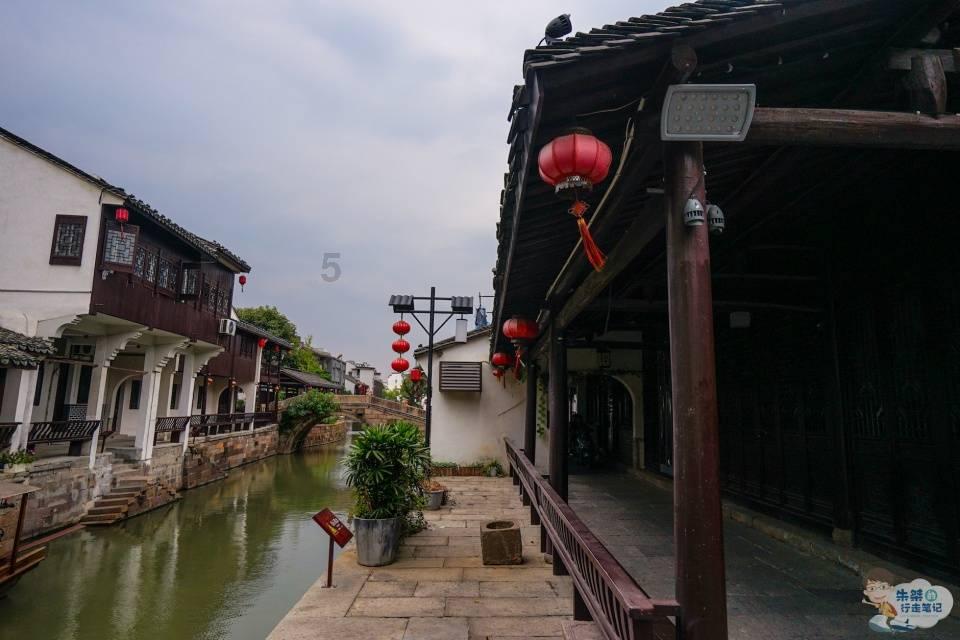 雏菊花园逃生